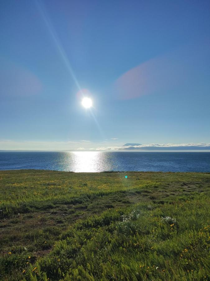 Happy-Cove Guesthouse - By The Sea Bakkafjorthur Exterior photo