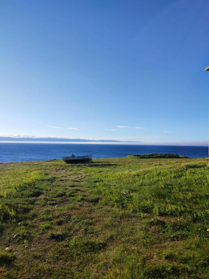 Happy-Cove Guesthouse - By The Sea Bakkafjorthur Exterior photo