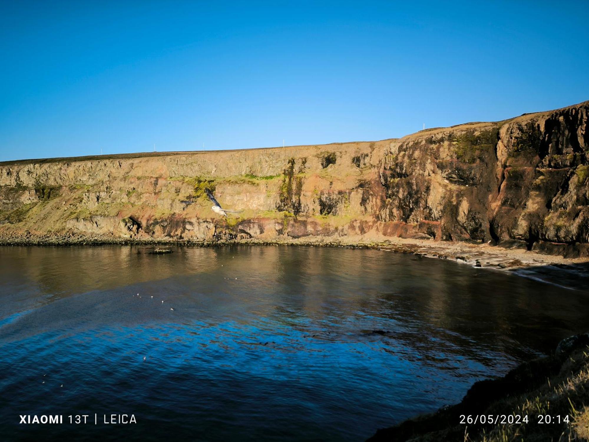 Happy-Cove Guesthouse - By The Sea Bakkafjorthur Exterior photo